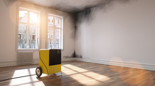 a dehumidifier in a room with mold